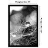 Americanflat 22x32 Poster Frame  - Black Picture Frame - Wide Photo Frames Made of Engineered Wood - Epic Collection - Black - 2 of 4