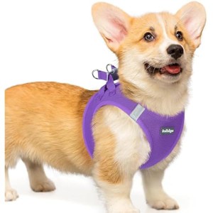 rabbitgoo Small Dog Harness, Step-in Soft Mesh Reflective Pet Harness for Small Medium Dogs, Purple L - 1 of 1