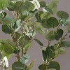Syemin Artificial Plants Artificial Eucalyptus Tree Fresh Silvery Green Leaves Natural For Home Office Decoration, Green, 62.25"*8"*8" - 3 of 4