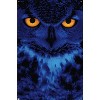 Trends International Owl - Eyes Unframed Wall Poster Prints - 4 of 4