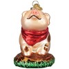 Old World Christmas Blown Glass Ornament for Christmas Tree, Piggy in The Puddle - 2 of 4