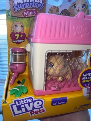Little Live Pets Lil' Bunny Mini Mama Surprise Playset, 1 ct - Kroger