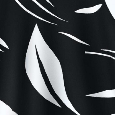 black abstract petal