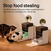 Automatic Cat Feeder with RFID Technology, Collar-Activated Food Dispenser with Wi-Fi Control - 4 of 4