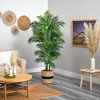 Nearly Natural 6-ft Curvy Parlor Artificial Palm Tree in Handmade Natural Cotton Planter - 4 of 4
