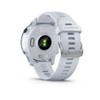 Garmin Forerunner 255 : Target