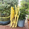 MAYEERTY 3 Piece Foldable Square Table & Chairs Patio Bistro Set, Yellow - 3 of 4