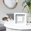 Pavilion Gift Company - A Spoiled Cat - 4.75" Plaque - Wall Sign Panels - 2 of 4