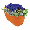 Bloomers Railing Polyethylene Outdoor Planter Pot Terracotta Orange 23.75"x9.5" - 3 of 4