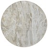 Taupe Beige And Ivory Abstract Washable Indoor Outdoor Area Rug - 4 of 4