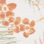 ivory/rust sage