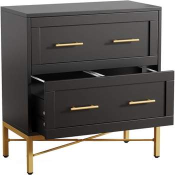 Tribesigns 2 Drawer File Cabinet, Modern Lateral Filing Cabinet