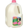 Kemps Milk - 3 of 4