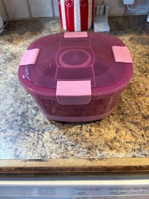 Ello Plastic Salad Bento Set Mauve : Target