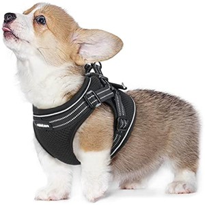 rabbitgoo Small Dog Harness, Soft Mesh Dog Harness with 4 Adjustable Straps, No Pull Dog Vest Harness , Escape Proof, Black, Medium - 1 of 1
