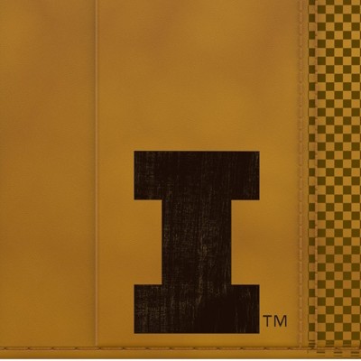 illinois fighting illini