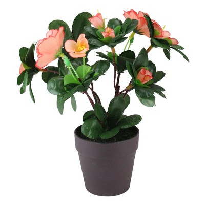 Northlight 8" Flowering Begonia Bush Artificial Potted Plant - Green/Peach