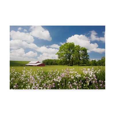 16" x 24" Flowers And Farm Holmes County Ohio by Monte Nagler - Trademark Fine Art