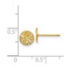 Black Bow Jewelry 7mm Diamond Cut Sand Dollar Post Earrings in 14k Yellow Gold - 4 of 4