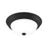 Quoizel Lighting Erwin 2 - Light Flush Mount in  Matte Black - 4 of 4