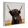 Stupell Industries Black Highland Cow Portrait, 14" x 11" - 3 of 4