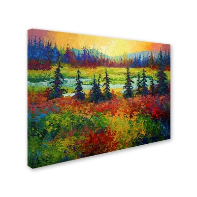 Trademark Fine Art -Marion Rose 'Ak' Canvas Art