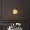 JONATHAN Y Campana Bohemian Modern Woven Rope/Iron LED Pendant - 3 of 4