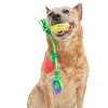 BARK 1.75" Howly Jowly Holidays Merry & Bite Lights Plush Rope Dog Toy - 3 of 4