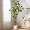Gulches 240CM Artificial Pieris Tree - No-Watering Faux Plant with Lush Greenery & Fresh Aesthetics, Low Maintenance Indoor Decor for Home Office - 2 of 4