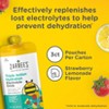 Zarbee's Triple Action Liquid Hydration Pouches - Strawberry Lemonade - 5 fl oz/3ct - 3 of 4