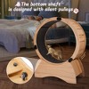 Cat Treadmill with Carpeted Runway - 4 of 4