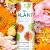 Plant Botanical Blood Orange Lime Vodka Seltzer - 4pk/355ml Cans - 3 of 4