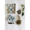 Storied Home Boxed Set of 12 Blue Speckled Ceramic Robin Eggs - 3 of 4