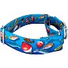 Country Brook Petz® 1 1/2 Martingale Dog Collar - Sports and Athletics Collection - 3 of 4