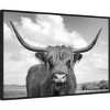 33" x 23" Highland Cow on The Ranch by Andre Eichman Framed Canvas Wall Art Print - Amanti Art: Modern Lithograph, Polystyrene Frame - 2 of 4