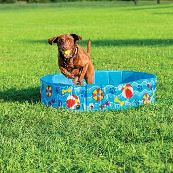 BigMouth Inc. Patterns & Splashes Foldable Hard Side Dog Pool