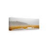 Trademark Fine Art - Brooke T. Ryan Mustard Yellow Salt Marsh Canvas Art - 4 of 4