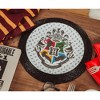 Hogwarts Paper Dinner Plates, 10in, 18ct - Harry Potter