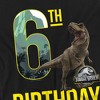 Boys' Short Sleeve Jurassic World 6th Birthday Trex T-Shirt - 3 of 4