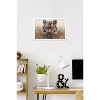 Trends International Reinders: Animals - Hunting Tiger In Grasses Framed Wall Poster Prints - 2 of 4