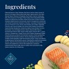 Blue Buffalo Basics Limited Ingredient Diet Grain Free Salmon & Potato Recipe Adult Dry Dog Food - 4 of 4