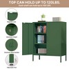 Rbied 31.5 in. W x 15.8 in. D x 40 in. H Metal File Cabinet Storage Cabinet with Adjustable Shelves for Homes, Offices and Coffee Bars - 4 of 4