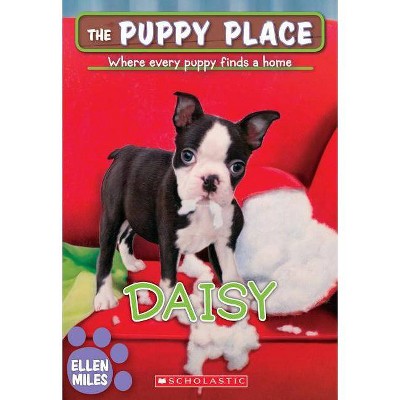 Daisy (the Puppy Place #38), 38 - by  Ellen Miles (Paperback)