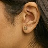 Haus of Brilliance 10K Yellow Gold Diamond Accent 4 Leaf Clover Stud Earrings - 4 of 4