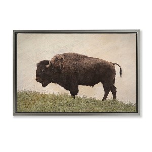 Stupell Industries Serene Buffalo on Country Hill Floating Frame Canvas Art - 1 of 4