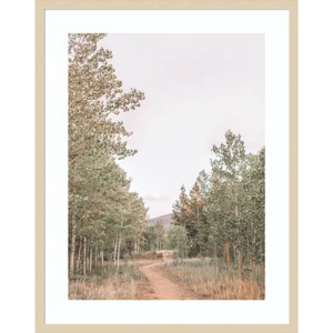 Amanti Art Winding Path by Alicia Abla Wood Framed Wall Art Print - 1 of 4
