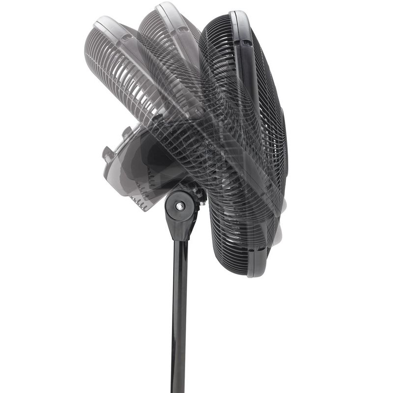 Lasko 16-inch 3-Speed Oscillating Floor Fan with Adjustable Height, Tilt-Back Head, Widespread Oscillation, and Patented Blue Plug Safety Fuse, Black, 5 of 7