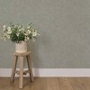 Tempaper & Co. 60 sq ft Faux Roman Clay Textured Peel and Stick Wallpaper by Pure Salt Green - 2 of 4