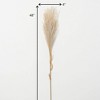 Sullivans Artificial Wheat-Colored Feathery Reed 48"H Off-White - 4 of 4