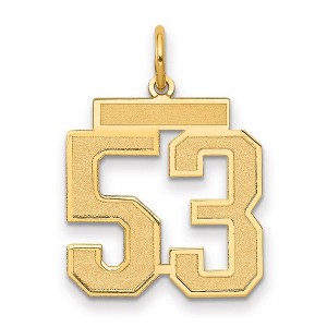 Black Bow Jewelry 14k Yellow Gold, Jersey Collection, Medium Number 53 Pendant - 1 of 3